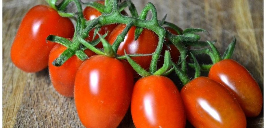 datterini
