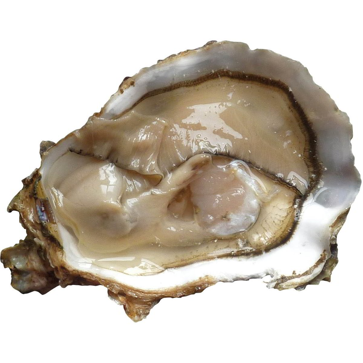 Karl Lagerfeld Assortimento Di Sneaker Da Uomo All'ingrosso 30 Pezzi - Foto 4