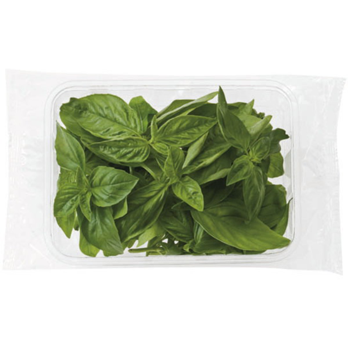 Vendita E Distribuzione Spezie All'ingrosso Bovezzo Brescia - Foto 14