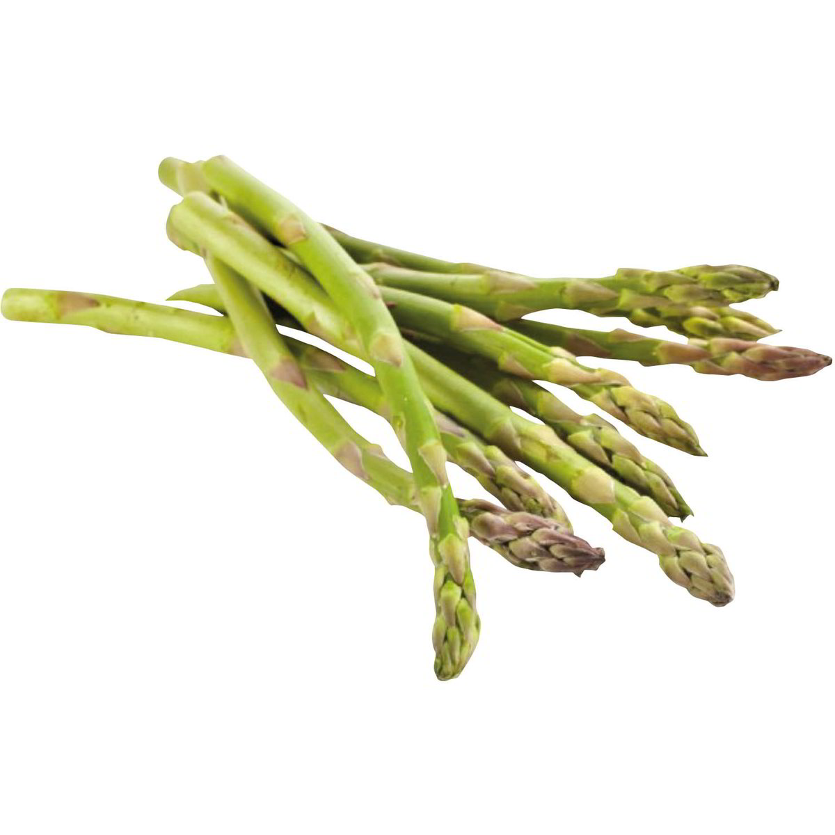 Vendita ASPARAGINA e all'ingrosso. Asparagi all'ingrosso Zona