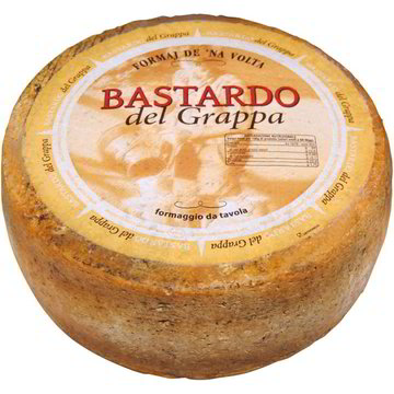 Vendita FORMAGGIO BASTARDO DEL GRAPPA all'ingrosso. Formaggi semi duri