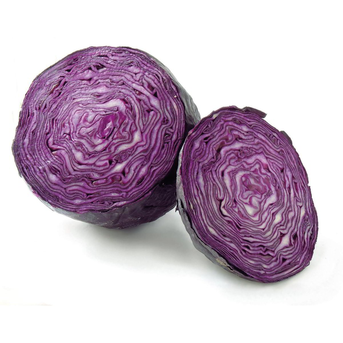 Vendita CAVOLO CRAUTO VIOLA e all'ingrosso. Cavoli all'ingrosso Zona