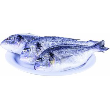 Vendita ORATA (300/600) ALLEVATA ITALIA all'ingrosso. Pesce fresco ...